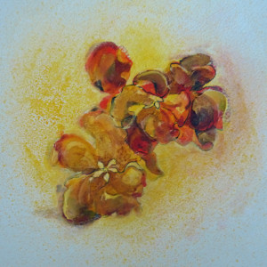 Flower Hawaii 4 by Mary Lou Dauray