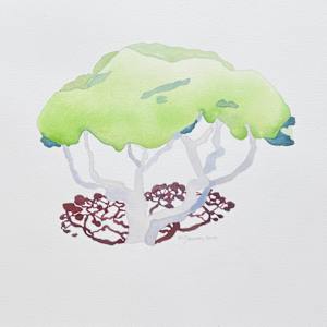 Our Tree by Mary Lou Dauray