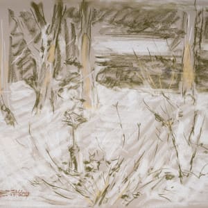 Snow Day with the Backyard and Bird House by Miriam McClung, Image 2.