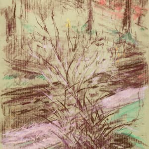 By the Creek by Miriam McClung