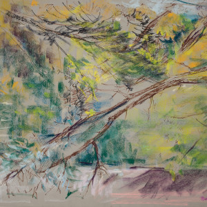 Backyard Study - Branches by Miriam McClung