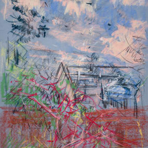 Pink Skies in the Backyard by Miriam McClung
