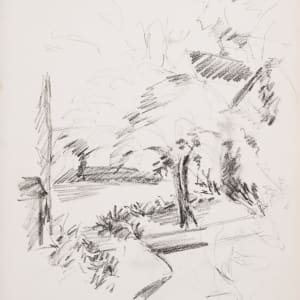 Trees and Path by Miriam McClung