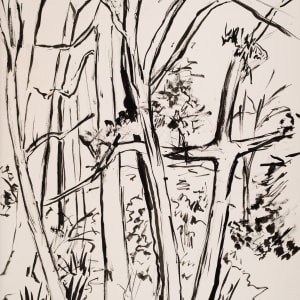 Trees in the Woods by Miriam McClung
