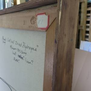 Oak Leaf Dried Hydrangeas by Miriam McClung  Image: Image of The wood strip frame.