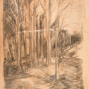 Early Drawing of Canterbury Road Hillside by Miriam McClung 