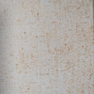 Baker's Dairy in Birmingham, AL by Miriam McClung  Image: Spotting on back of canvas