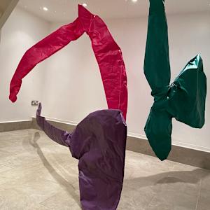 Expansion by Emma Coyle 