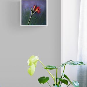 Red Lily Rising by Brenda L.B. Kenney 