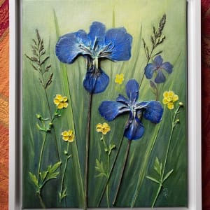 Shared Hope by Brenda L.B. Kenney 