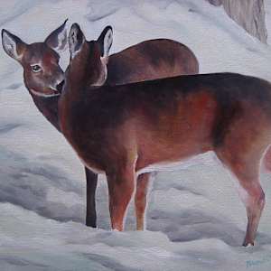 The Nuzzle by Brenda L.B. Kenney 