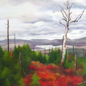 View From Diamond Ridge by Brenda L.B. Kenney