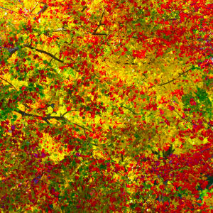 Red Yellows and Greens by Alan Michel