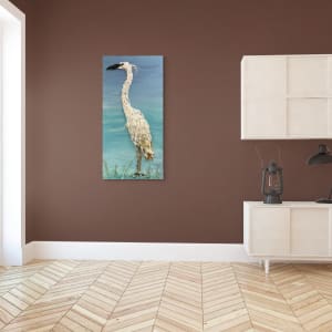 Long Neck by Janet Sams 