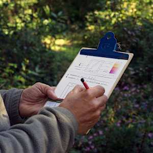 Portrait de Promenade 3 (Chirols) by Eltono 