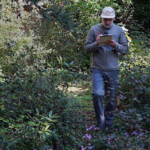 Portrait de Promenade 1 (Belvès) by Eltono 