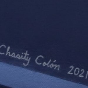 Still Blue Sparkle by Sonia C. C. Colón  Image: Close-up of signature (on bottom right area of shoe box).