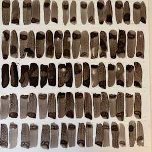 40 Breaths by Tauna M Cole, Image 1.