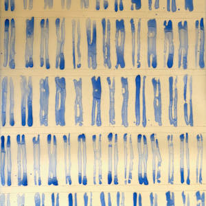 61 Breathes by Tauna M Cole, Image 1.