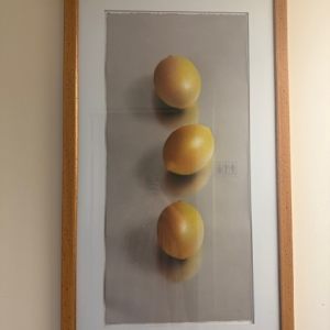 Three Lemons by Robert Peterson