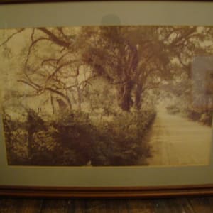 The Road Back by Donald Johnston