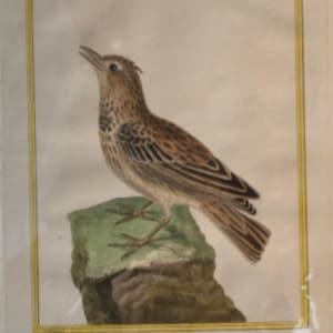 La Coquillade by Francois-Nicolas Martinet