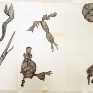 Untitled by Barbara Strasen