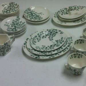 Set of 30 Maiden Hair Fern Children's Tea Set by Ridgeways