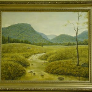 North Georgia Mountains by Steve Burgess