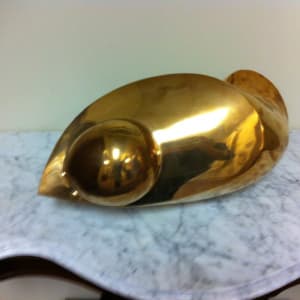 Hatching Duck by Sergio Dolfi