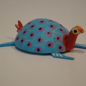 Turtle by Unknown