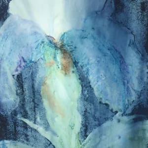 Moonlit Iris by Margaret Park