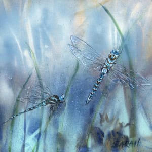 IMAGINATION IS MY BEST FRIEND by Sarah Jaynes