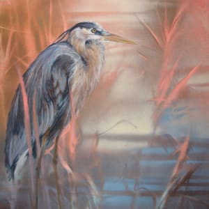 THE RAIN IS GONE by Sarah Jaynes