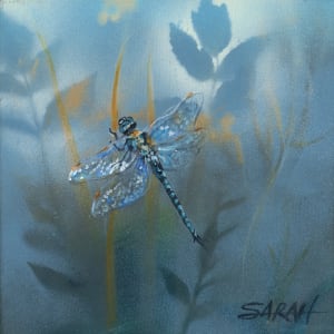 DRAGONLY by Sarah Jaynes