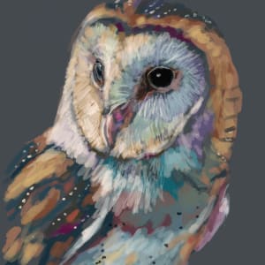 BARN OWL Digital 2 by Sarah Jaynes