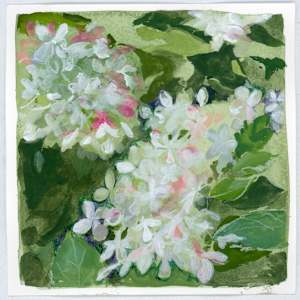 Hydrangea by Sarah Jaynes