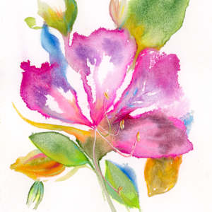 Magnolia Watercolour Sketch by Sarah Jaynes