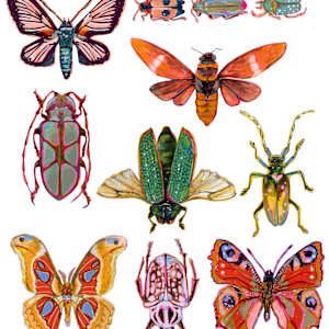 Bug Mash Up by Sarah Jaynes