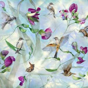 Once in a While you get Shown the Light by Sarah Jaynes