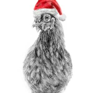 Christmas Chicken by Sarah Jaynes