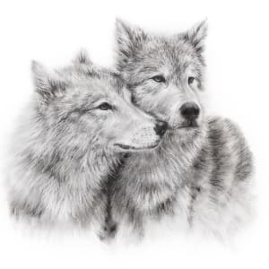 WOLVES by Sarah Jaynes