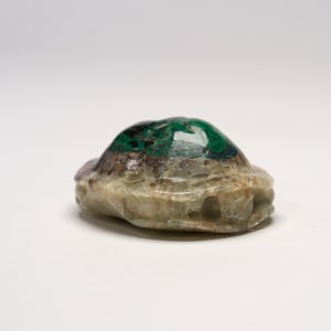 Turtle by Unknown  Image: Turtle