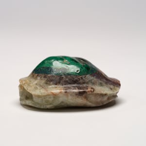 Turtle by Unknown  Image: Turtle