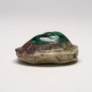 Turtle by Unknown  Image: Turtle