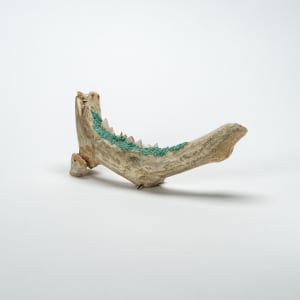 Leonard Halate 1914 - 2001.  Kolowisi (Water Serpent) Antler, turquoise, coral by Leonard Halate (1914 - 2001)  Image: Leonard Halate (d) Kolowisi (Water Serpent) Antler, turquoise, coral