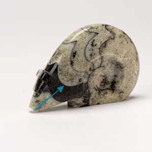 Clayton & Abby Panteah, Medicine Bear, Ammonite, Turquoise inlay  Image: Clayton Panteah, Medicine Bear, Ammonite, Turquoise inlay