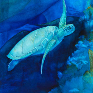 Turtle by Tia Sunshine Dye