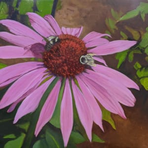 Sweet Echinacea by Lisa McManus
