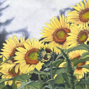 Sunflower Farm by Lisa McManus
